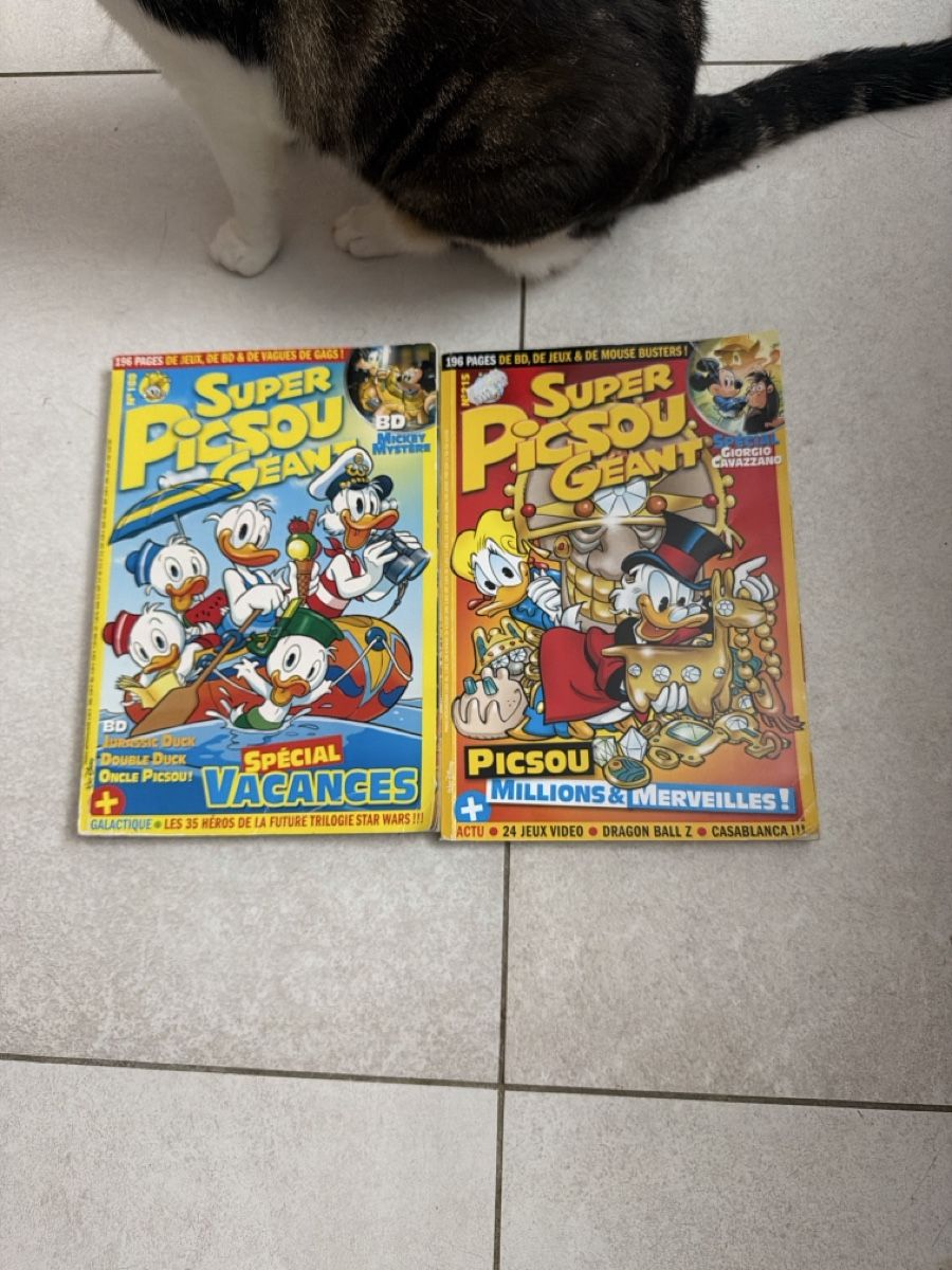 Fumetti: Donald Duck Comics: Super Picsou Geant Lot – Usato da Martigny venduto da Jacoosh1234