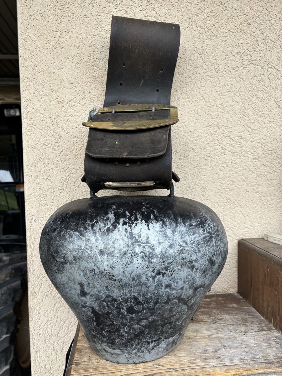 Cloches & sonnailles: Camenzind NR 7 – D'occasion à Schangnau par Roseggli82