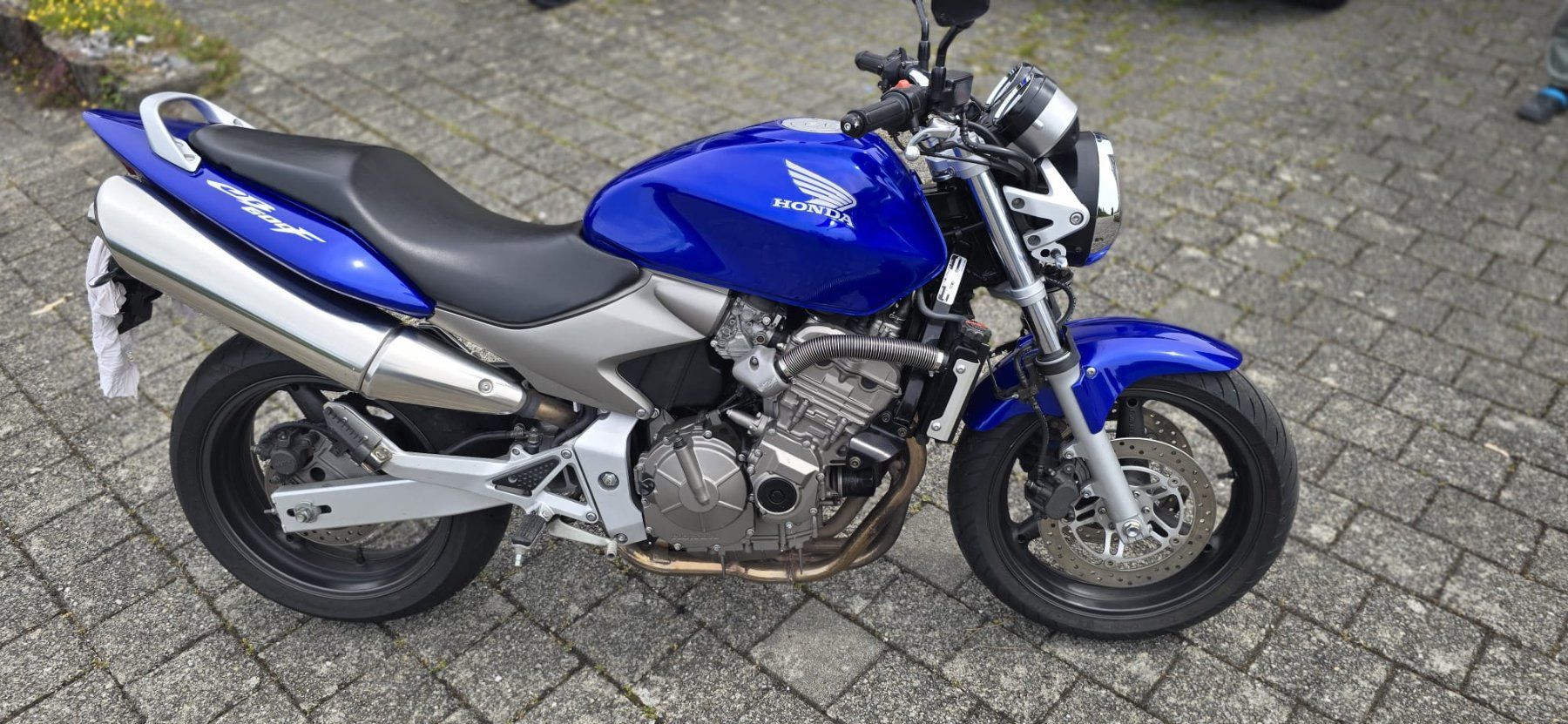 Honda Strada: Honda CB600F Hornet – Usato da Messen venduto da Piratenlady