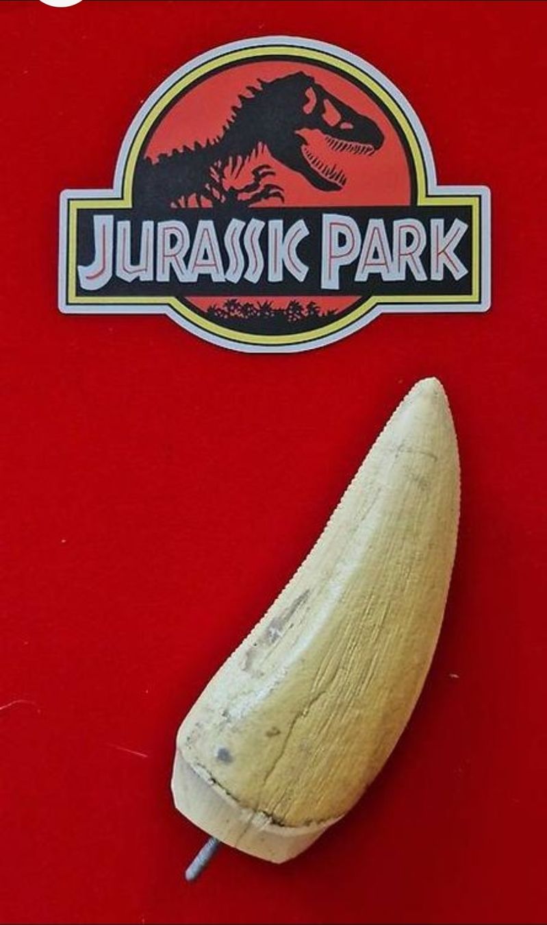 Figurines: T Rex Jurassic Park dent animatronique authentique 1993 – Neuf (Voir description) à Sembrancher par did_mkx2