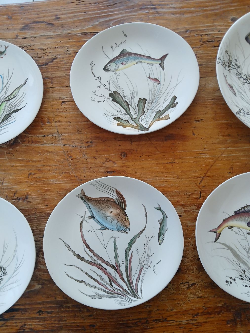 Geschirrsets: Service de table Johnson Bros  vintage décor poissons – Gebraucht aus Corcelles-Payerne von evalyne 2