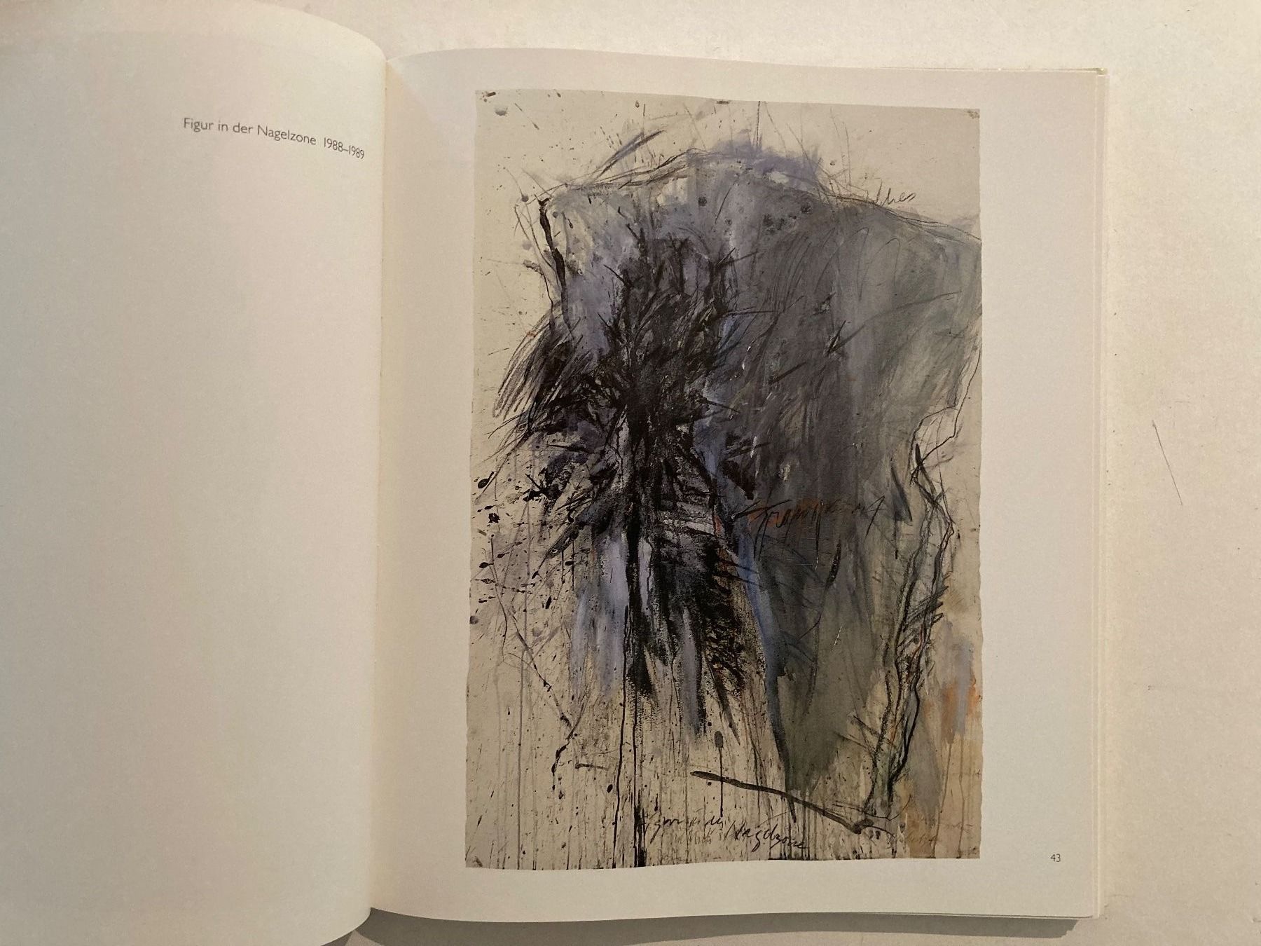 Libri: BUCH: Rolf Iseli – Usato da Rain venduto da Pic-Ass 3