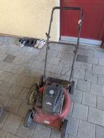 Rasenmäher Benzin