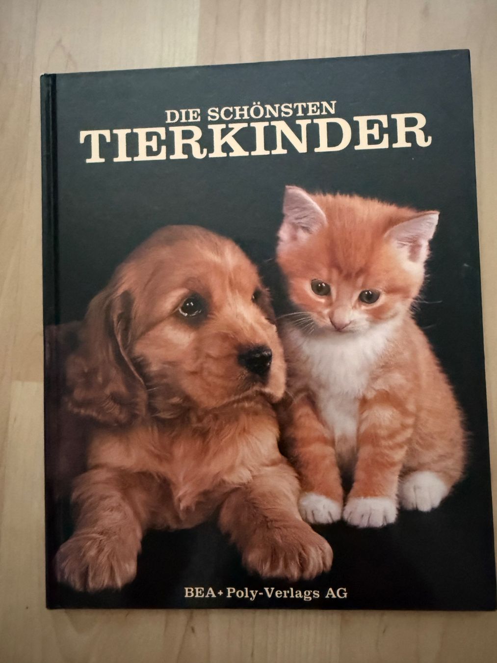Libri: Die schönsten Tierkinder Buch guter Zustand – Usato da Pfäffikon SZ venduto da Syndrome379