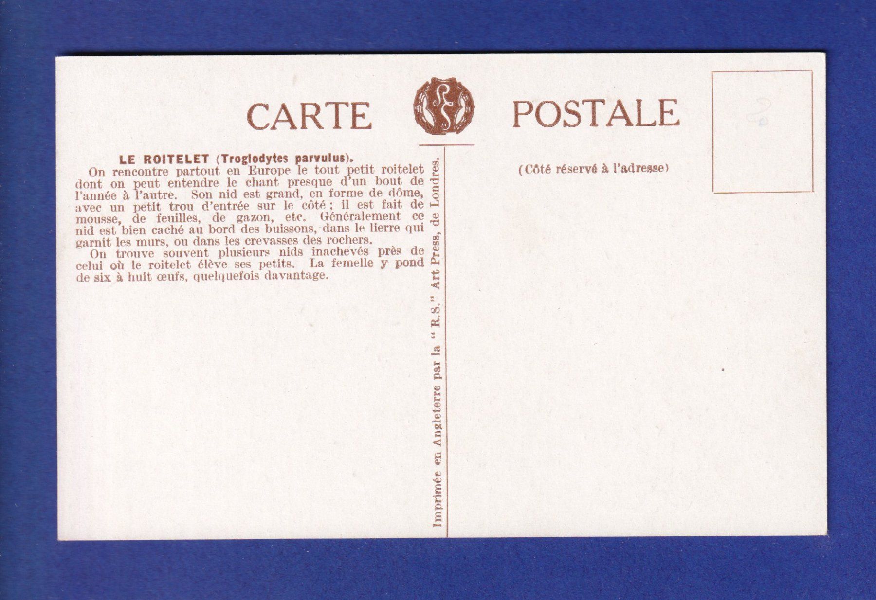 Cartes postales: OISEAU - Roitelet – D'occasion à Pully par nicecards-shop 1