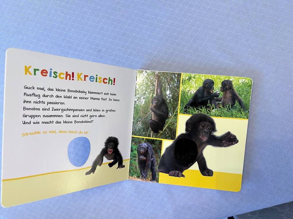 Bücher: Bilderbuch mit einstellbarem Ton, neuwertig – Gebraucht aus Dübendorf von nerino03 2