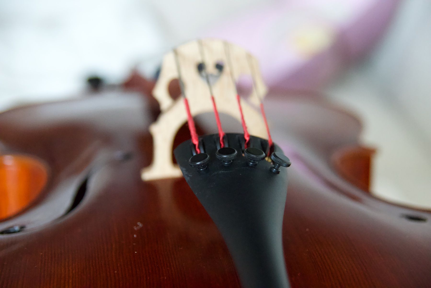 Strumenti musicali: Cello 1/2 – wunderschöner Klang, professionell eingestellt – Usato da Adliswil venduto da Doubleglass 8