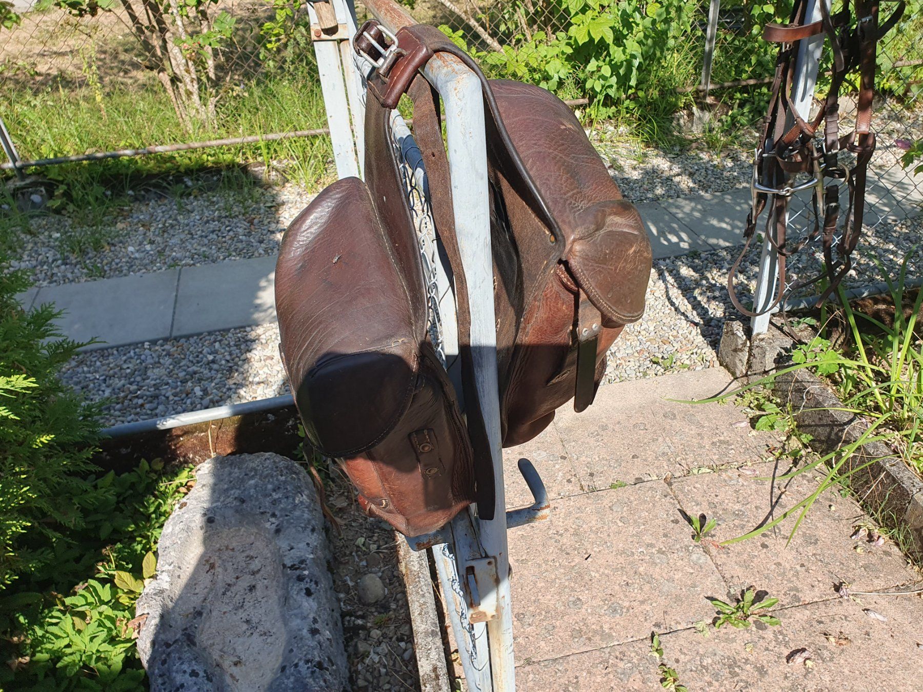 Selle & Accessori: Kavalleriesattel mit Sacoche und Zaumzeug – Usato da Winterthur venduto da Wuga 5