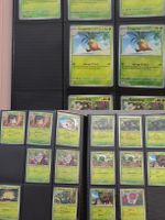 Pokemon Angefangenes Masterset Surging Sparks EN