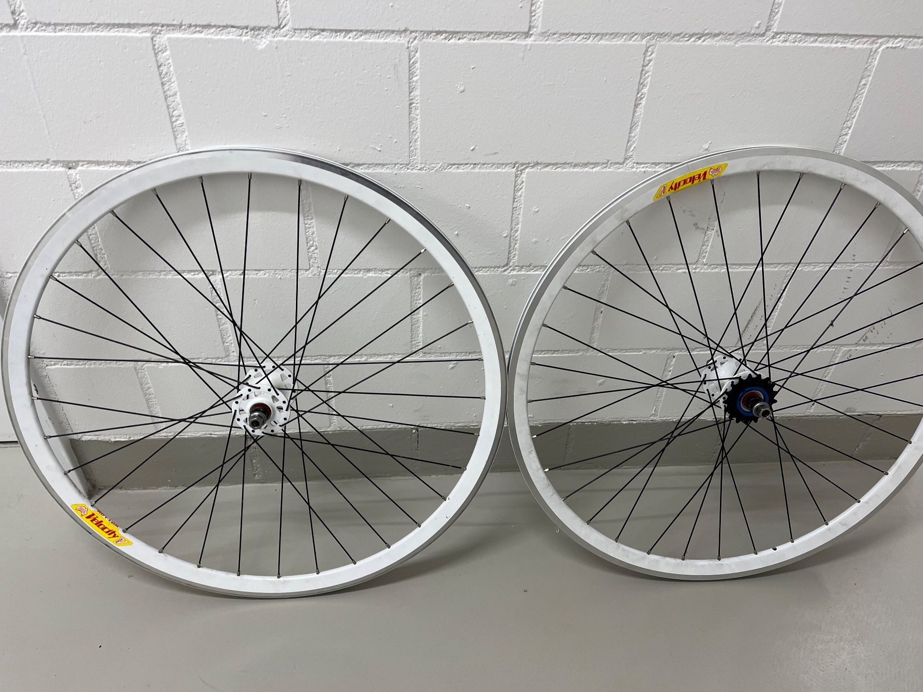 Velos: Chesini Fixie – Gebraucht aus Nassenwil von Keller111 5