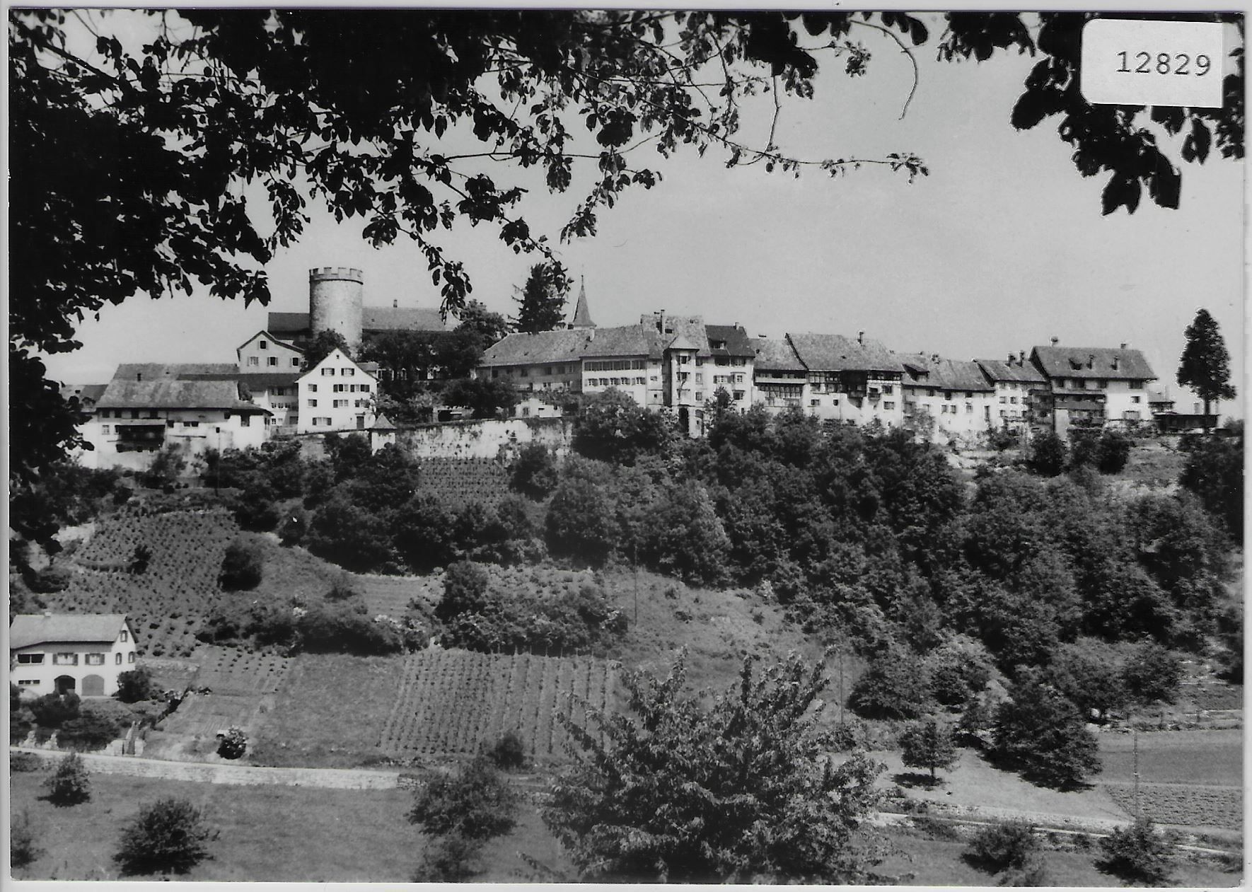Ansichtskarten: Generalansicht Regensberg – Gebraucht aus Ettingen von Kartenplanet