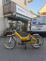 Puch Maxi N mit Ausweis