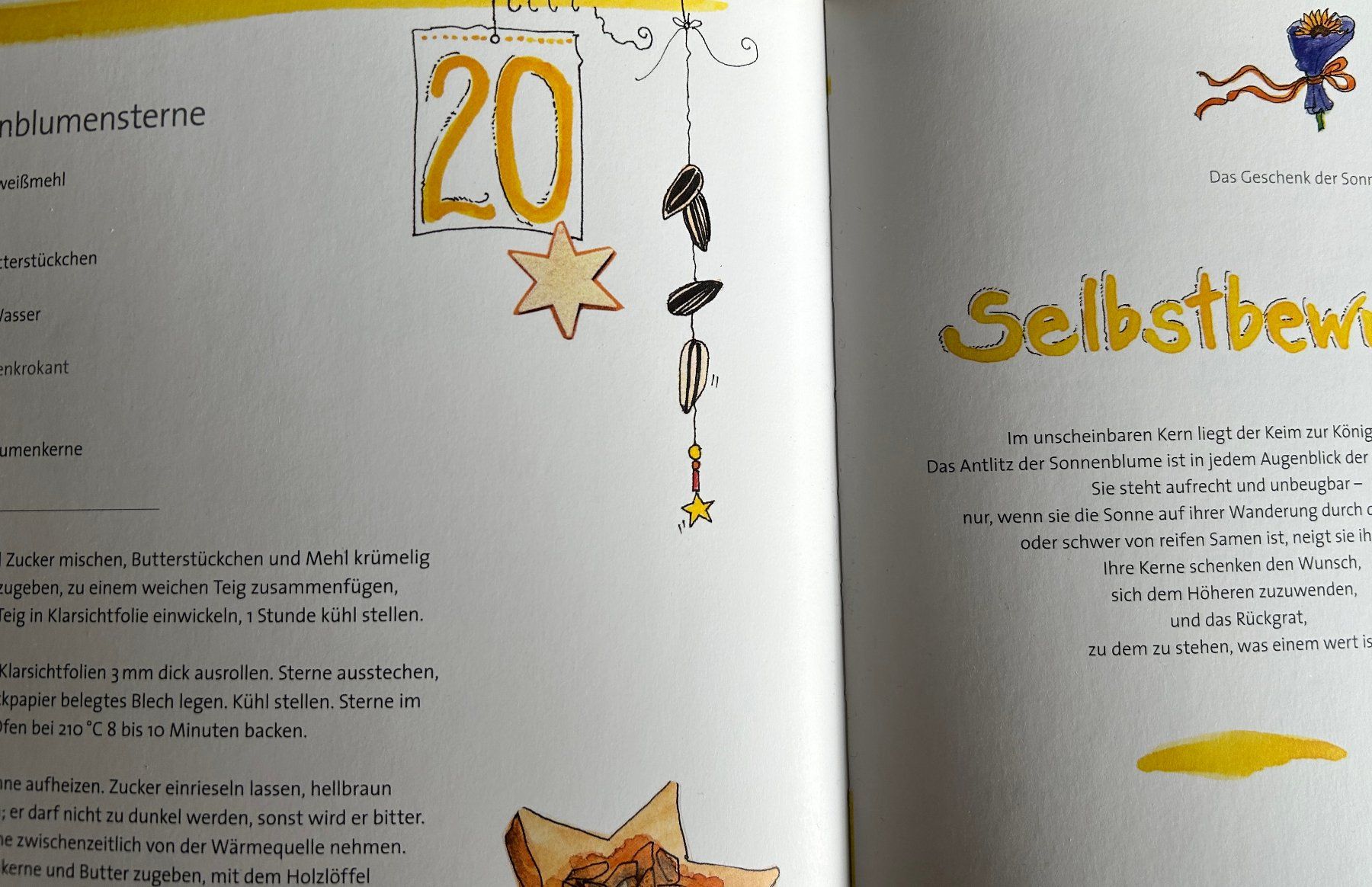 Libri: Backbuch/Sternengeschenke – Usato da Igis venduto da elch04 4