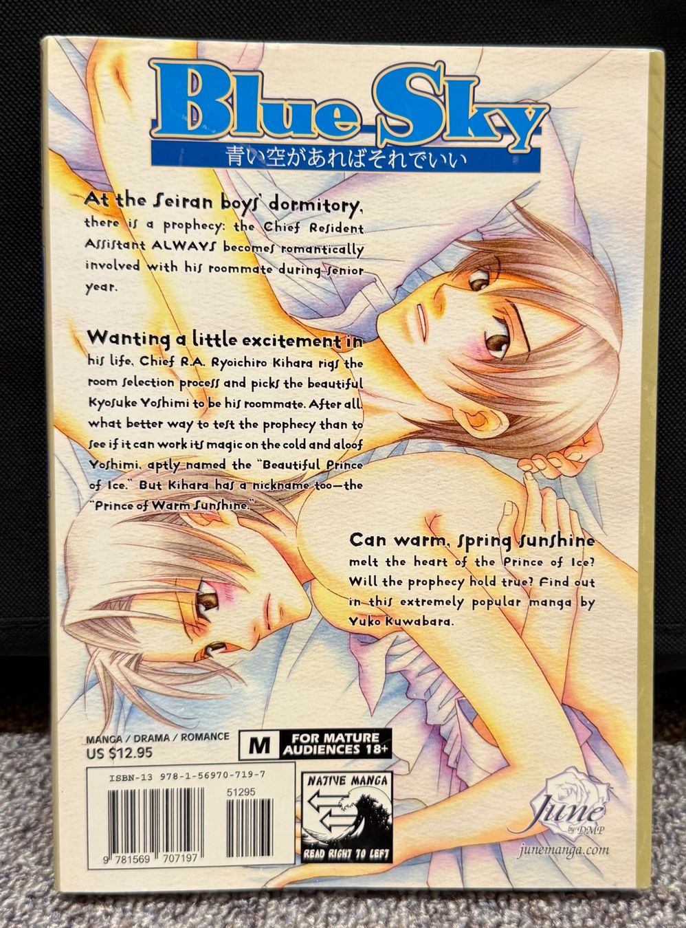Fumetti: BL Manga: Blue Sky, englisch – Usato da Triesen venduto da cla_q2js 1