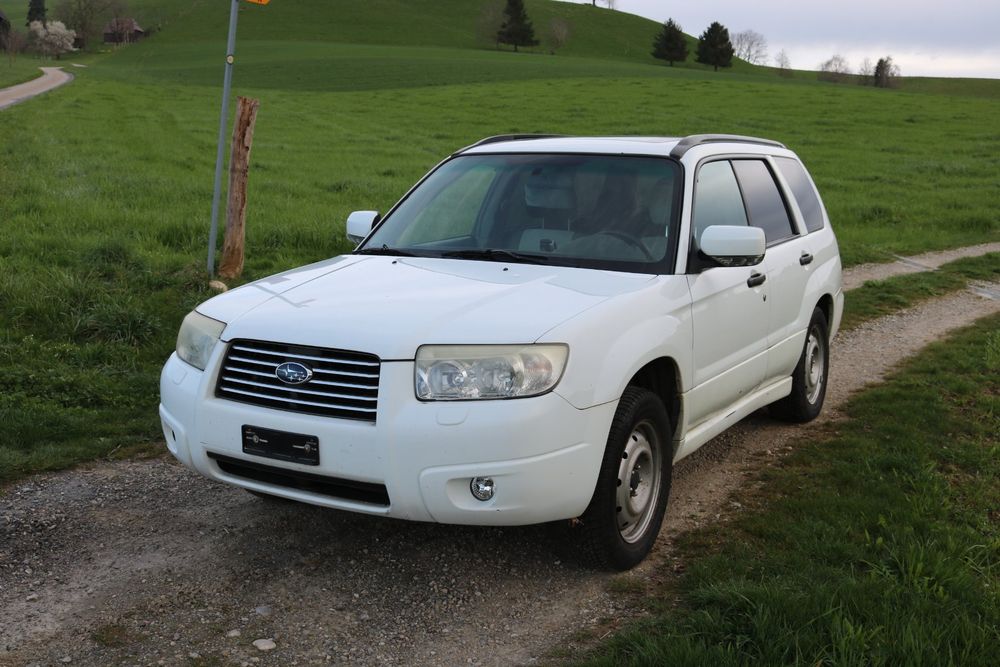 Schone Subaru Forester Anhangelast Fotos