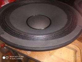 D.A.S. P12 - 12 Zoll 300W AES - 1 Stück