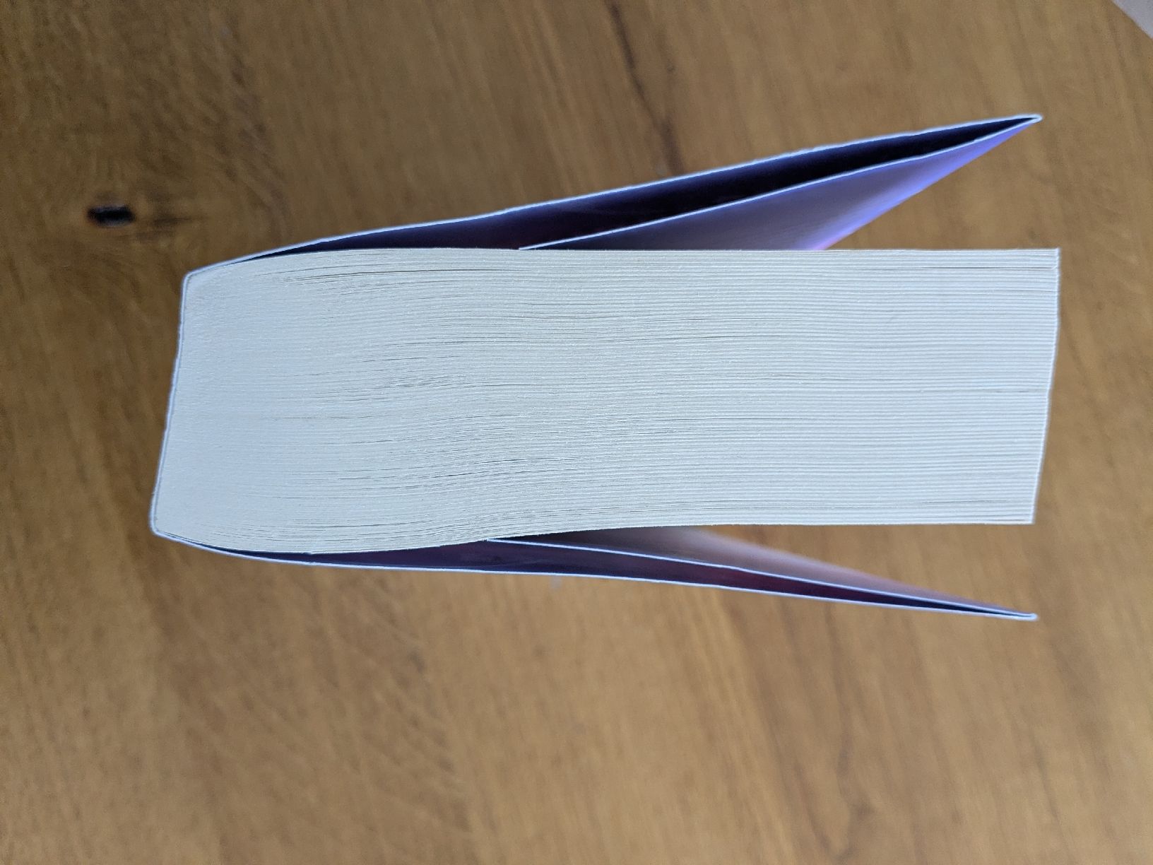 Livres: Icebreaker - Hannah Grace   – D'occasion à Wohlen AG par merkur0300 3