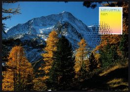 MK Farben der CH - Lärchengold, Wälder in Arolla