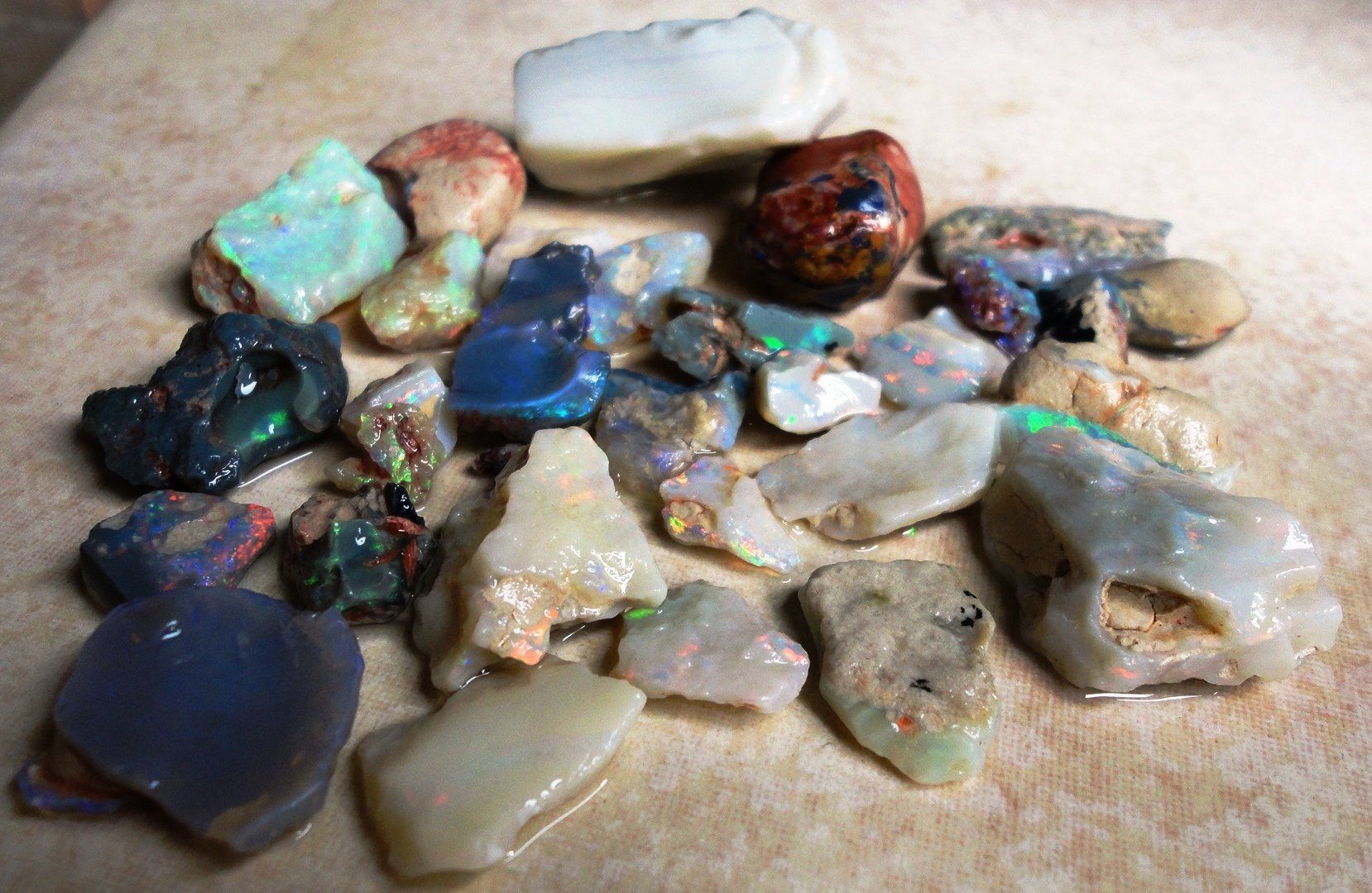 Pietre preziose: Opal LOT Lightning Ridge 231ct Natur – Nuovo e nell'imballaggio originale da zuerich venduto da Jewlsdesign 1