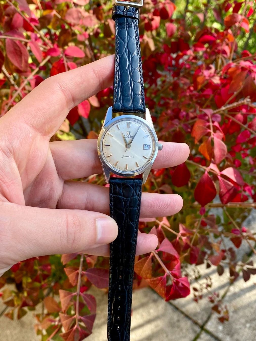 Omega Orologi: Omega Seamaster Date Automatic Kal. 562 – Usato da St. Gallen venduto da Montiswiss 5