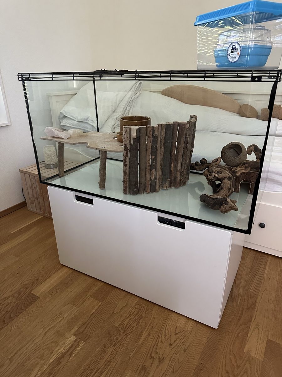 Gabbie, trasporto & Sicurezza: Terrarium / Mauskäfig / Mäusekäfig / Nager – Usato da Zürich venduto da Luoco 2