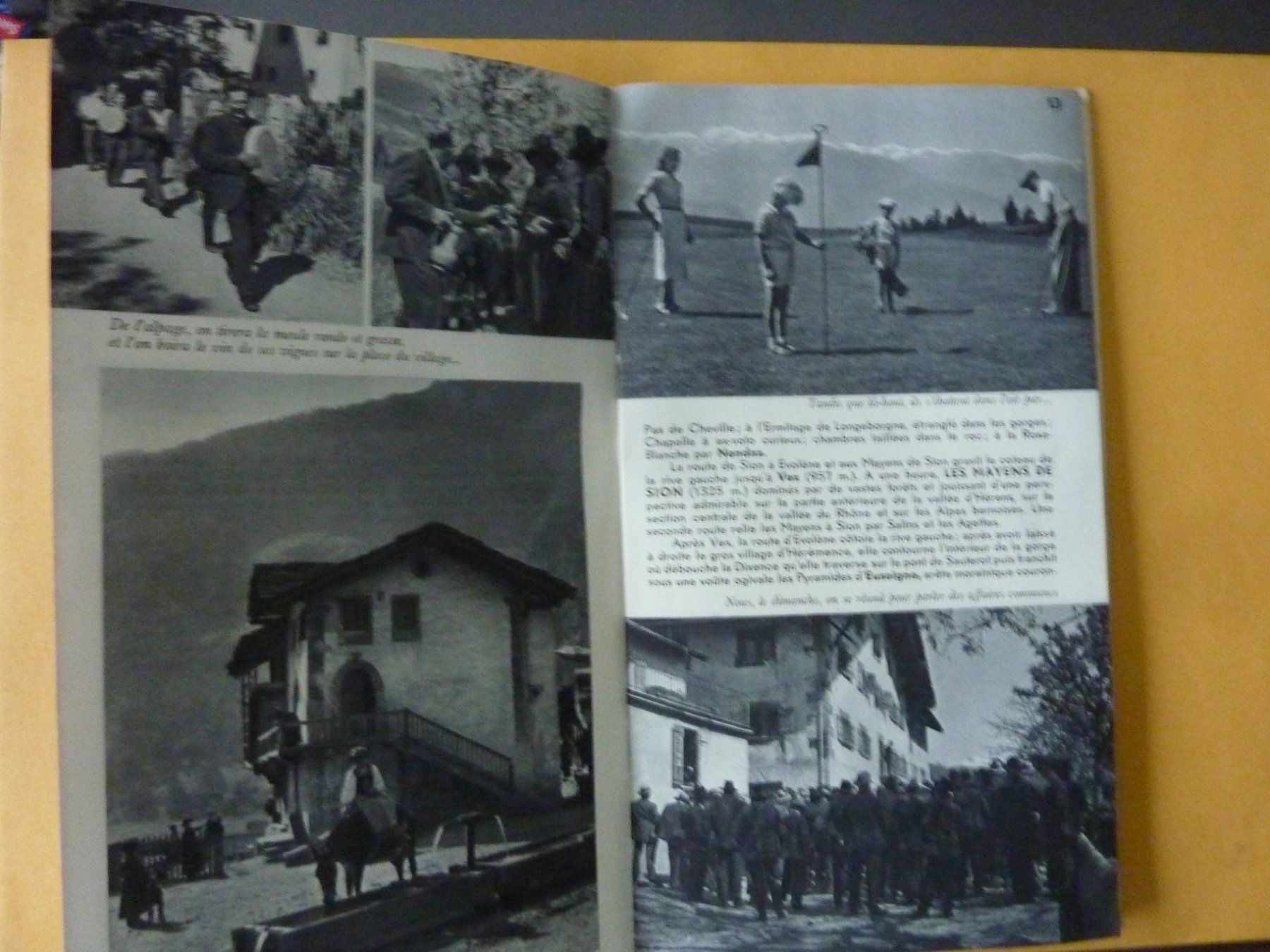 Libri: LE VALAIS SUISSE. DAS WALLIS SCHWEIZ. PROSPEKT – Usato da Zürich venduto da Rrehsuah 5