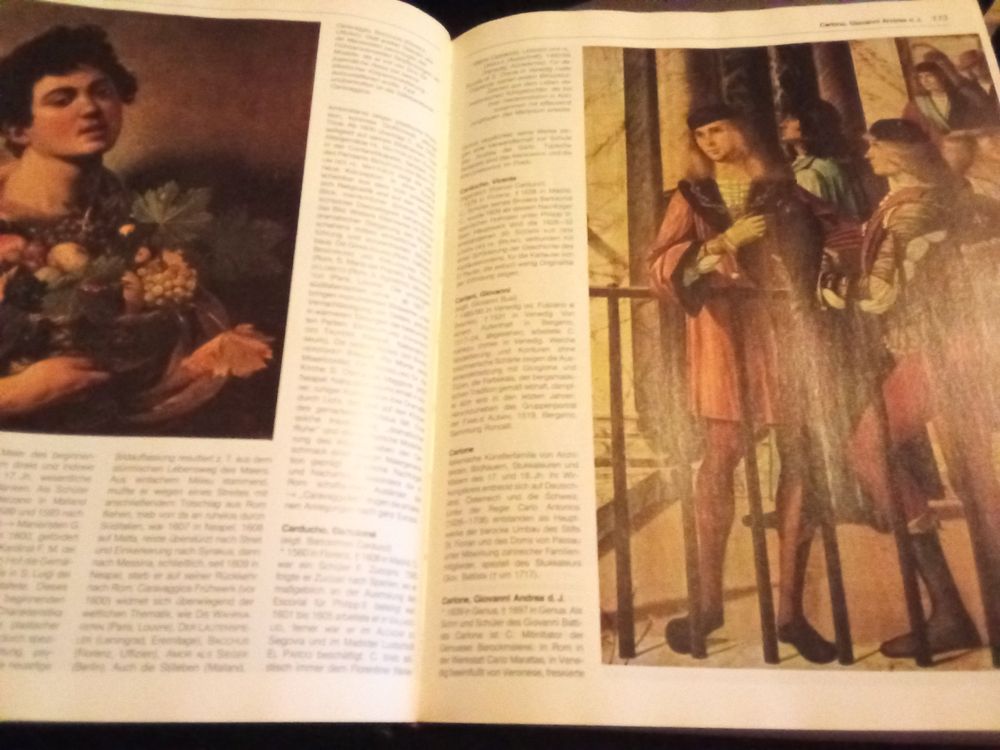 Das grose Lexikon der Malerei. Mit einem Sachwörterbuch der (Gebraucht ...