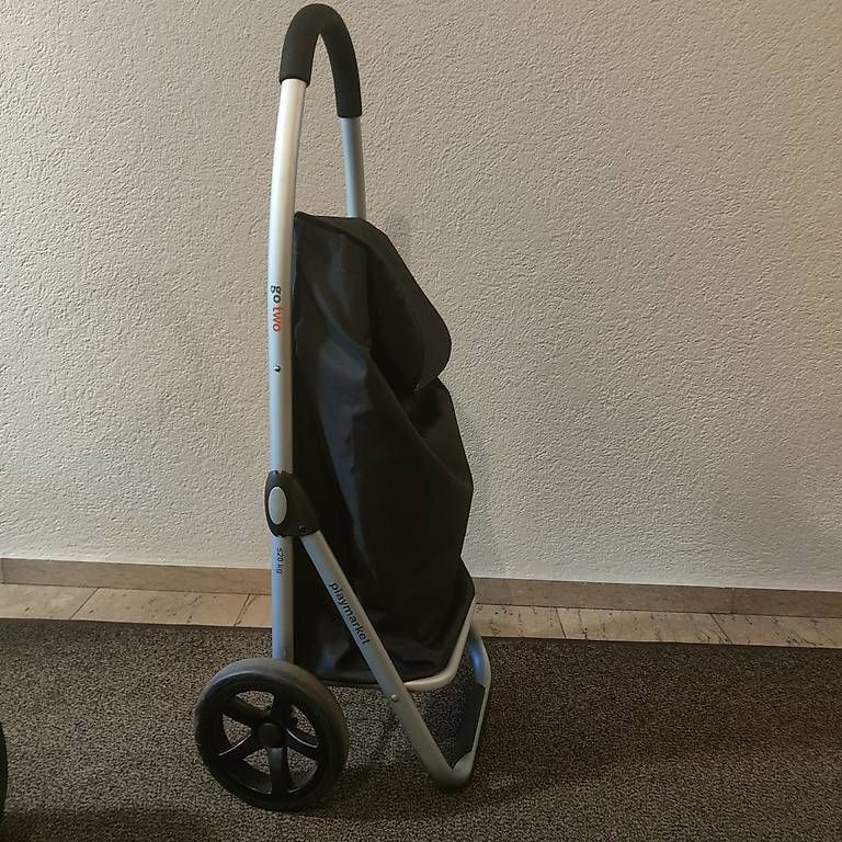 Altro per la casa: Carrello per la spesa 25 kg – Usato da Losone venduto da mar_n5ds