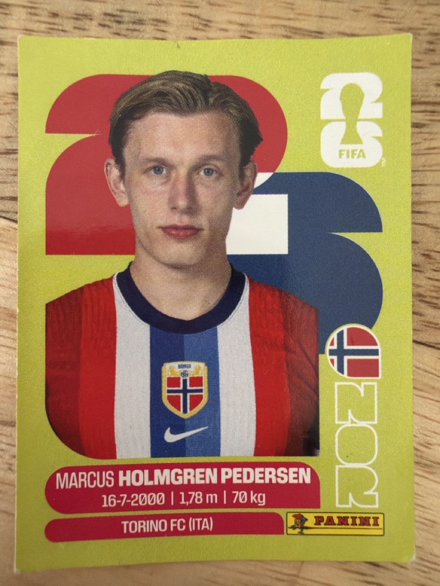 Panini Sammelbilder & Trading cards: Panini NOR 6 – Neu (gemäss Beschreibung) aus Leytron von airlines00