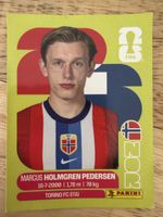 Panini NOR 6