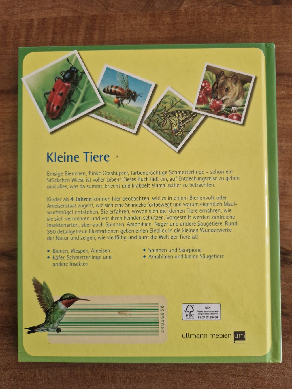 Libri: Buch / Wissensbuch "Kleine Tiere" – Usato da Giswil venduto da movo08 1