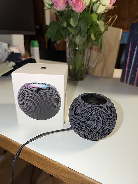 Casse acustiche: Home pod mini Black – Usato da Wil SG venduto da ein_q8tl