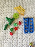 LEGO Duplo  Pflanzen, Blumen & Zubehör