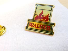 ❗ WALDER feu cheminée Ofenbau Flond GR   +Versand Pin M9F.27