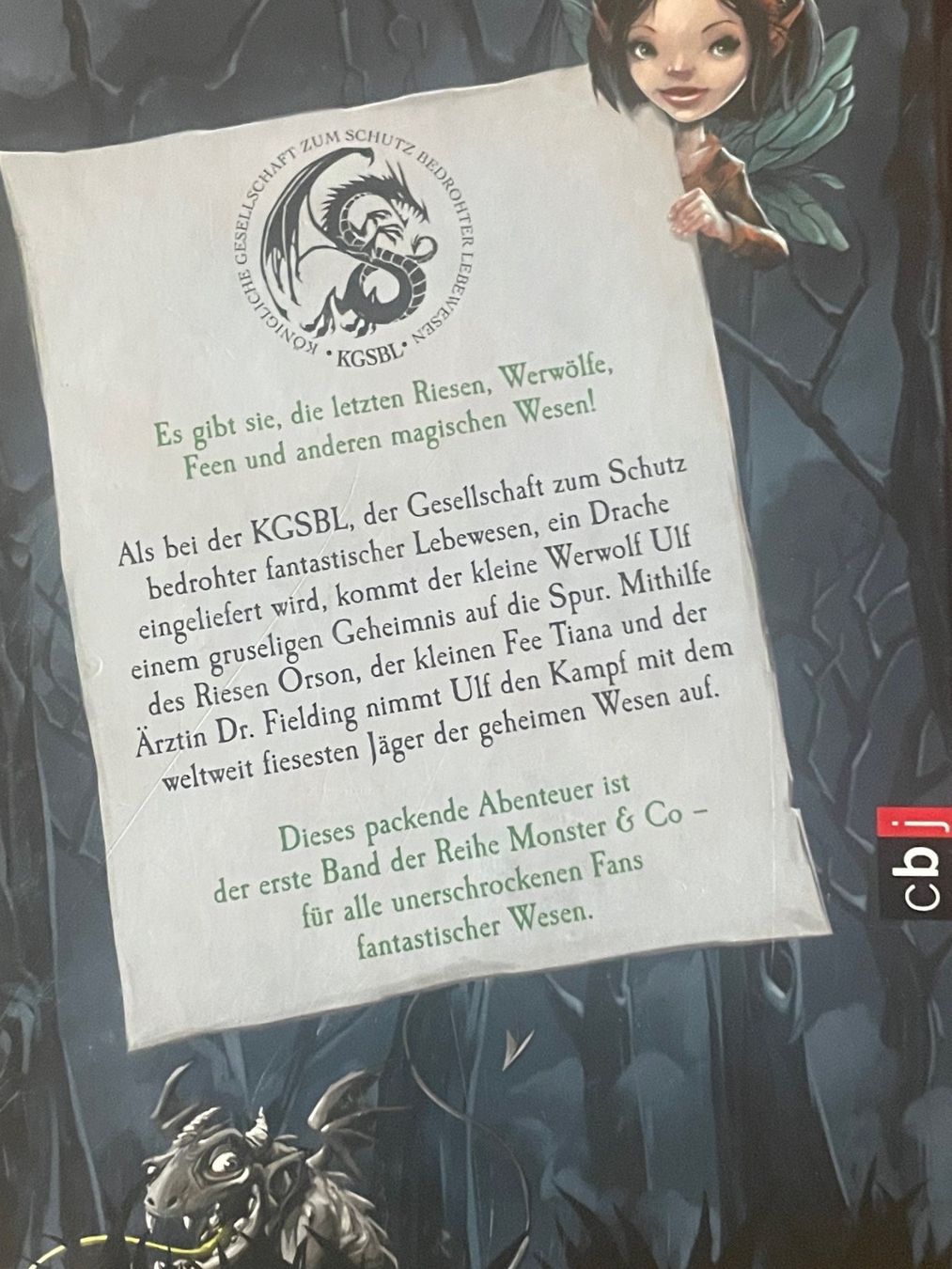 Libri: Monster & Co - Werwolf im Einsatz - Anne Brown – Usato da Oberiberg venduto da Cheyha 1