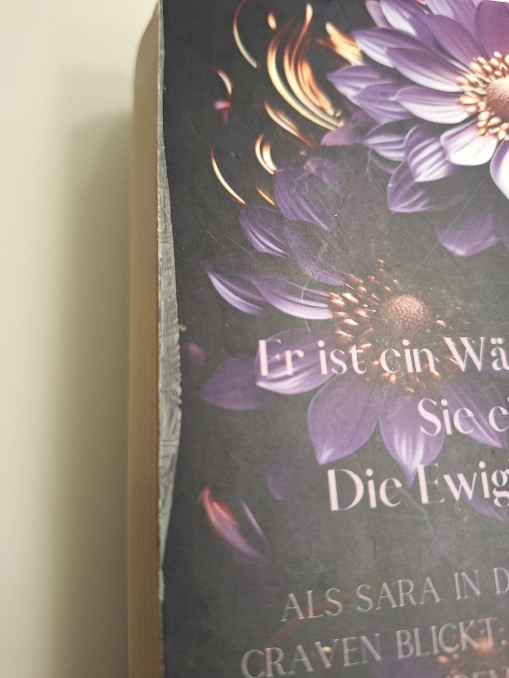 Libri: Buch Wächter der Unterwelt Teil 1 Sandra Todorovic – Usato da Brittnau venduto da Norge77 2