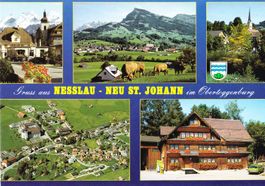 Nesslau und Neu St. Johann, ungelaufen
