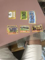 Figurine panini