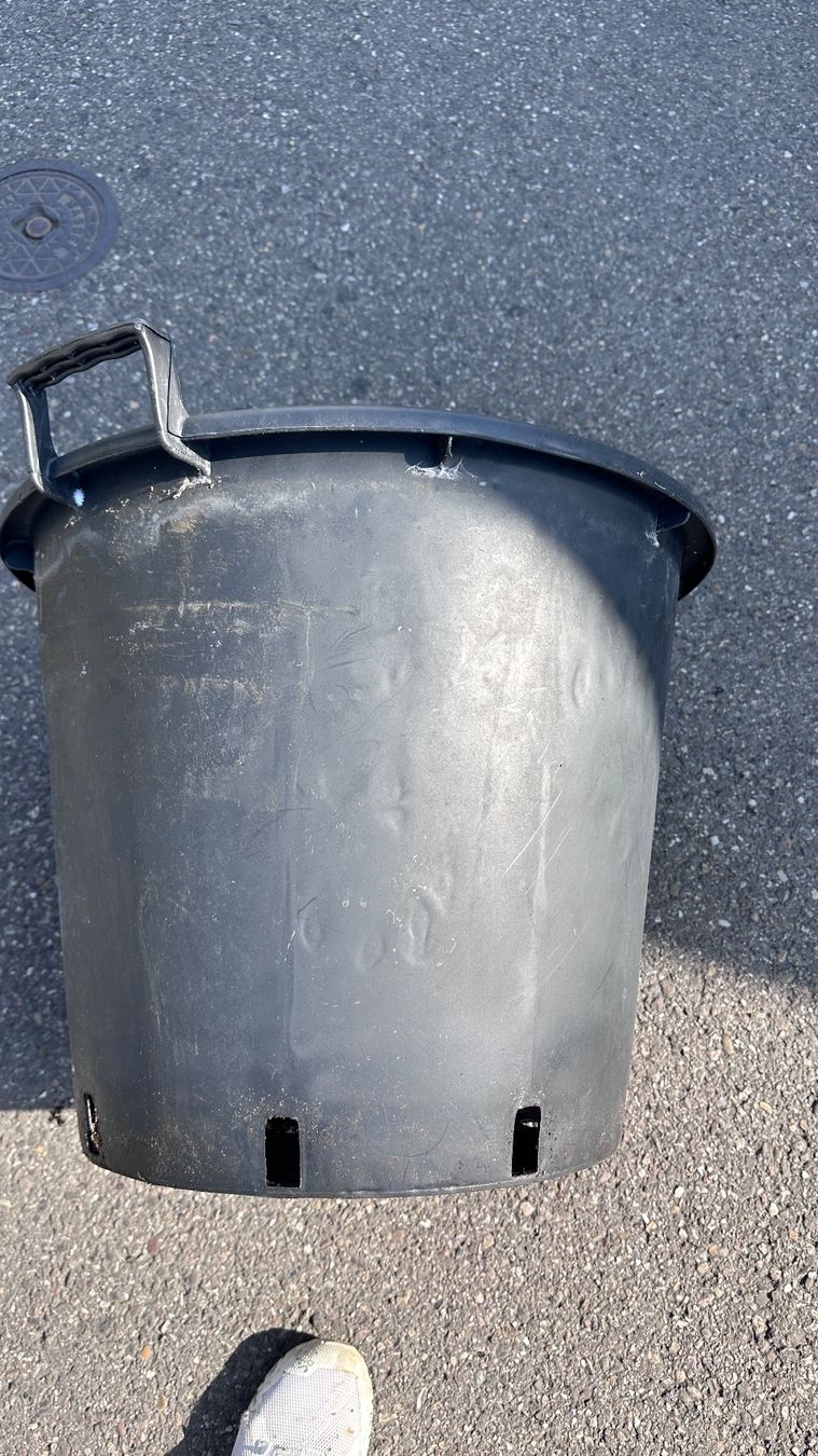 Vasi per fiori: Blumentöpfe 50 Liter, 50 x 41 cm – Usato da Gipf-Oberfrick venduto da Christina08 2