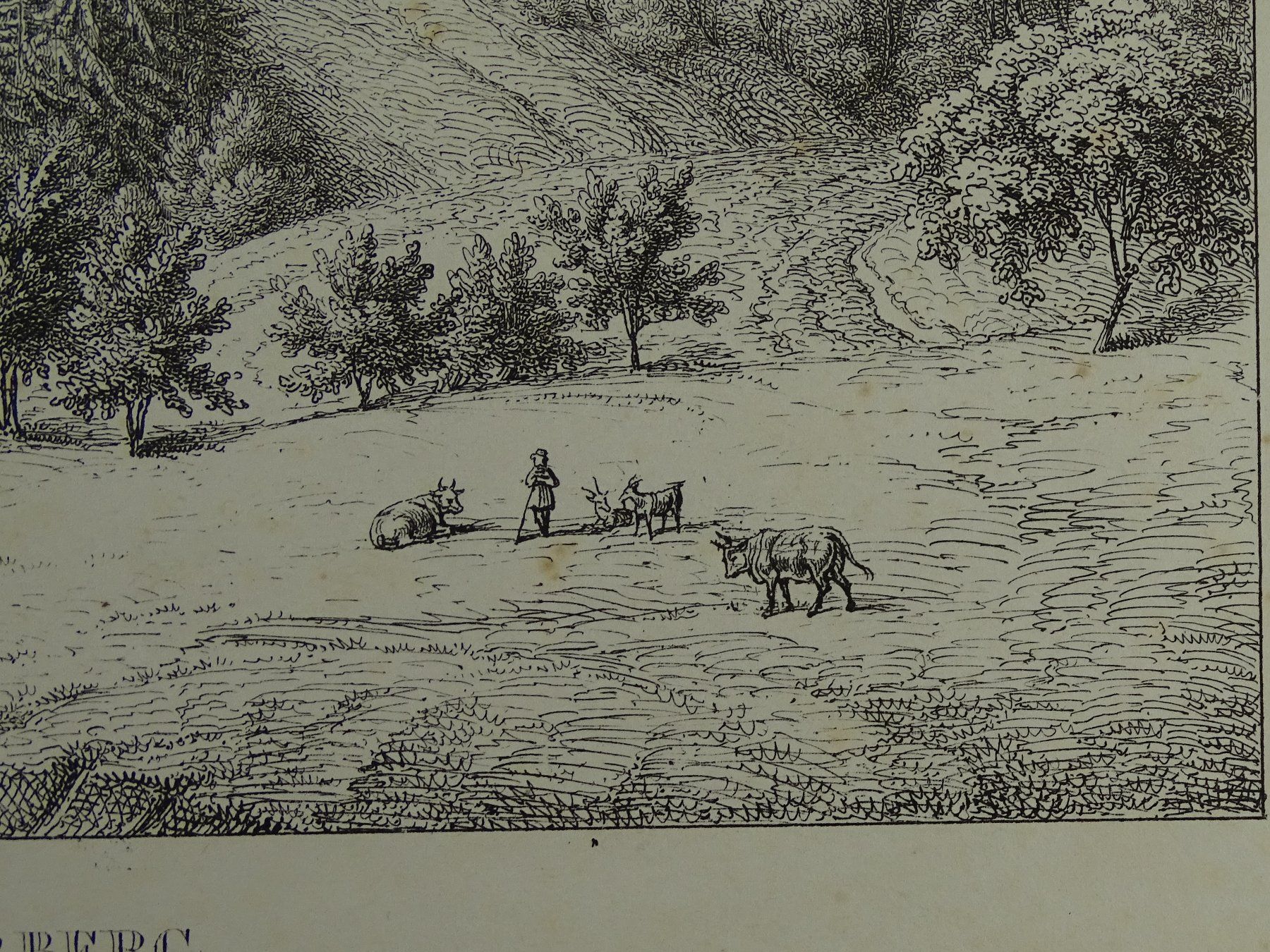 Stiche: THORBERG, BERN, FEDERLITHOGRAPHIE 1840 – Gebraucht aus Grüningen von Kartensammler 6