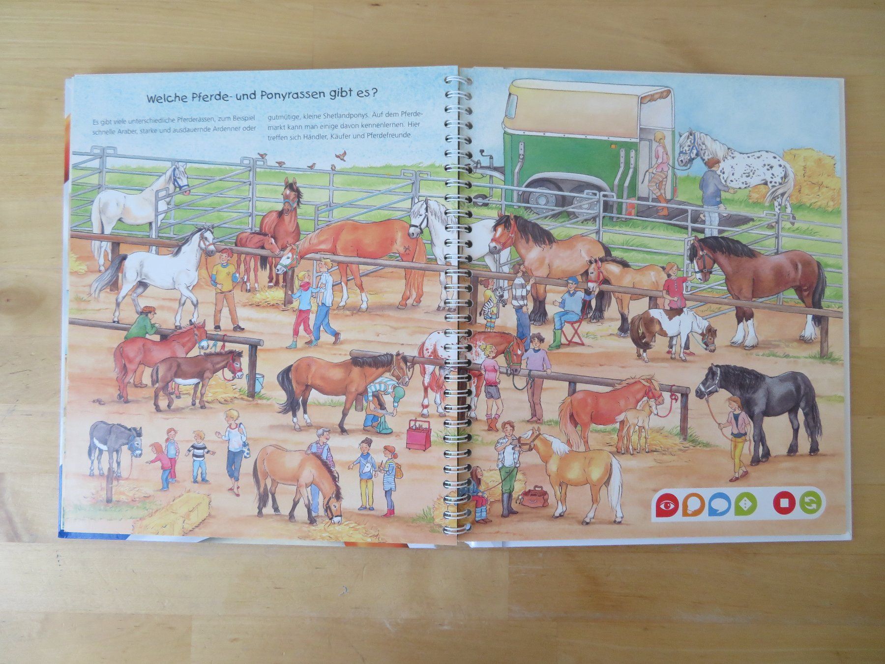 Libri: TIP TOI Buch "Pferde und Ponys" – Usato da Zürich venduto da piroma 3