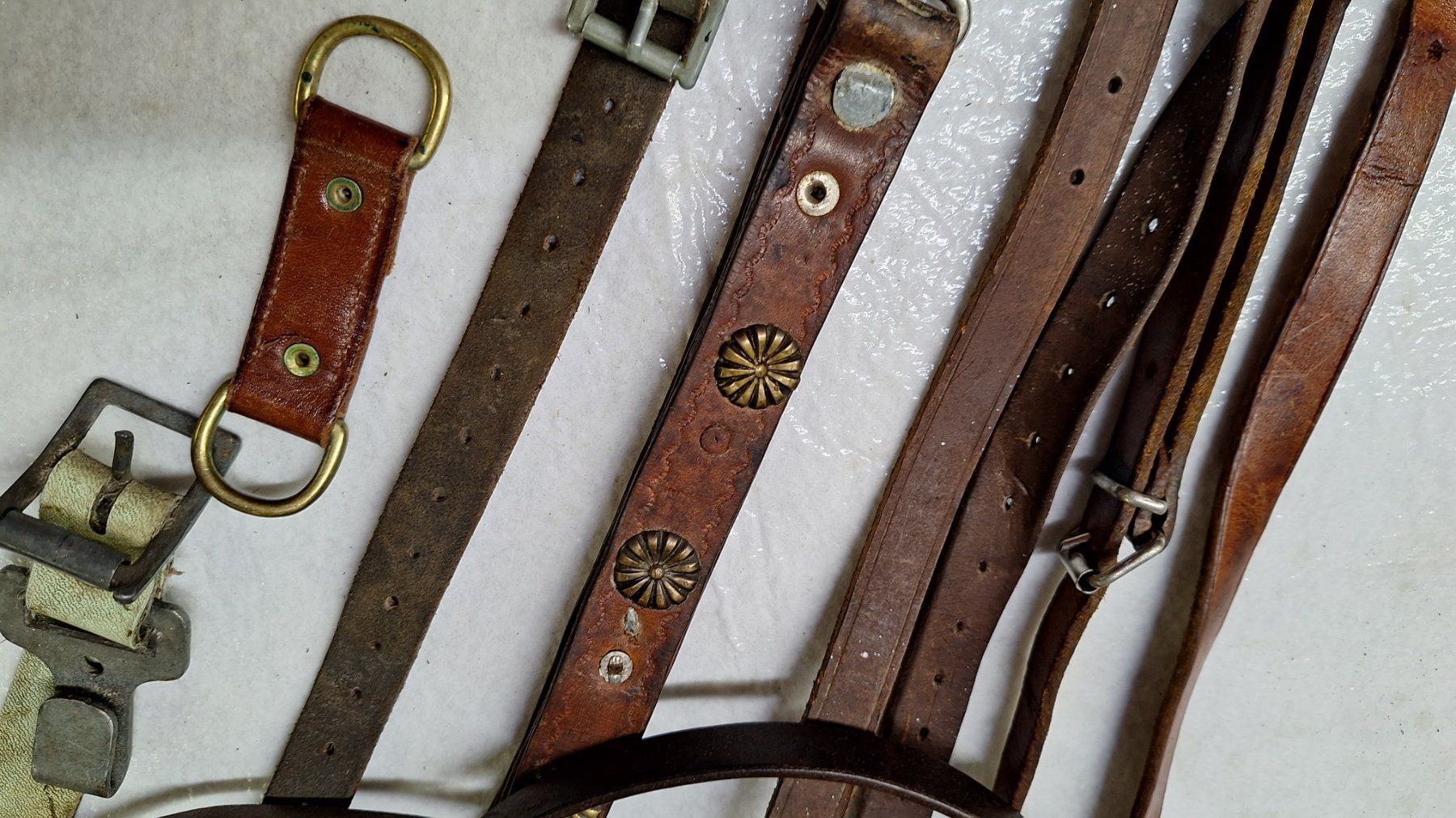 Attrezzatura da arrampicata: Diverse alte Leder -Riemen – Usato da Dornach venduto da majo8689 8