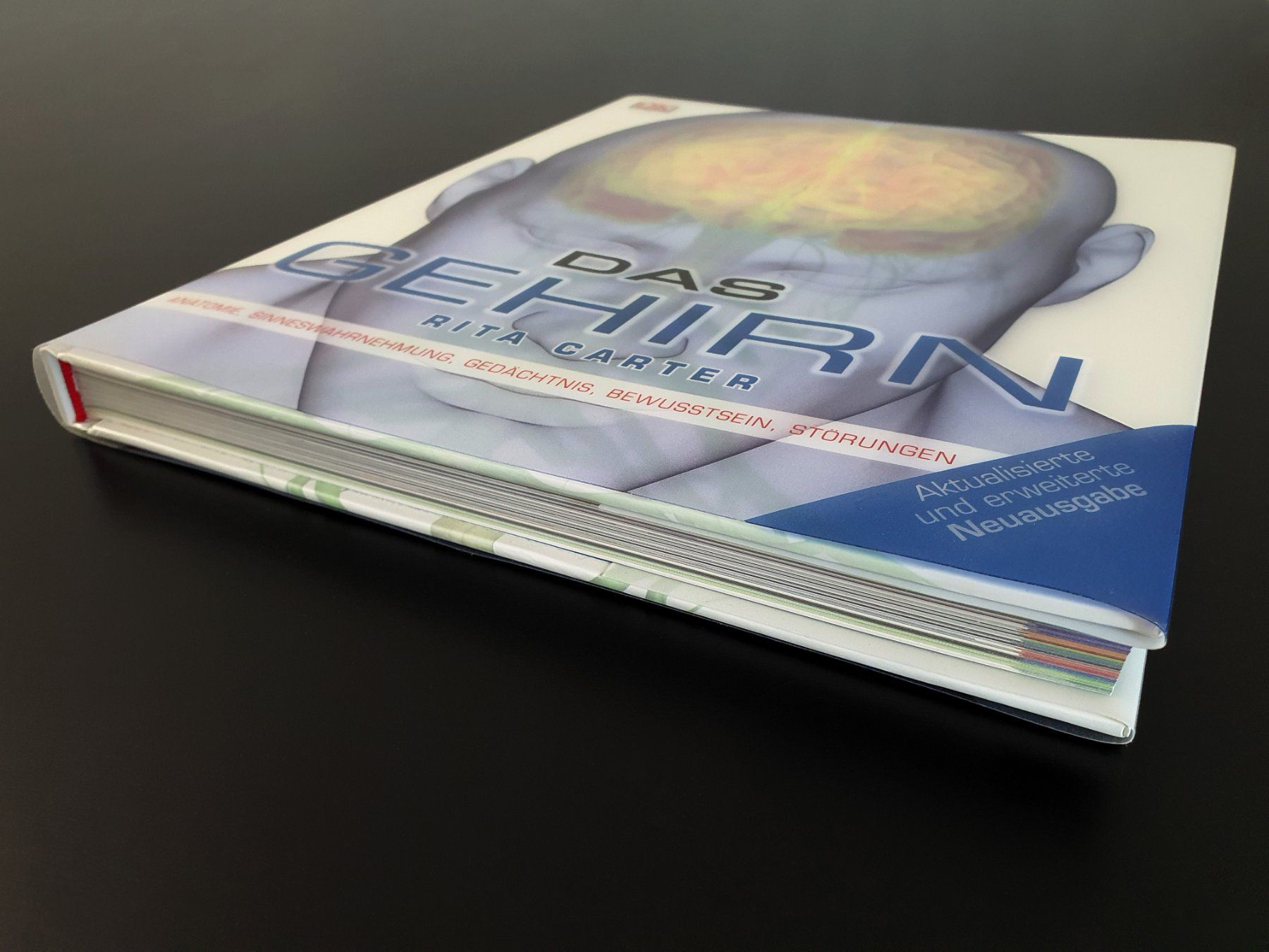 Bücher: Buch "Das Gehirn" / neu/neuwertig – Gebraucht aus Winterthur von Nooitgedagt
