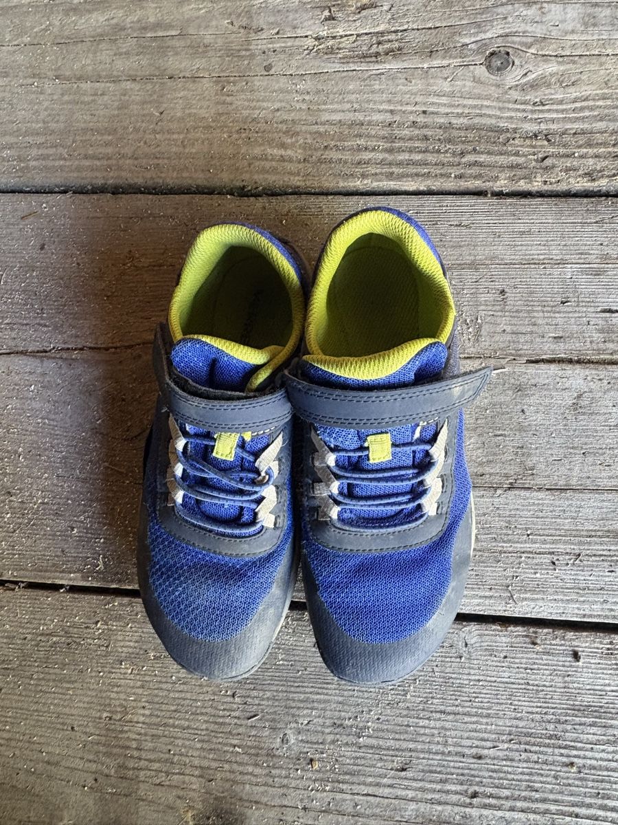 Merrell Scarpe da uomo: Merrell Trail glove Barfussschuh – Usato da Reinach AG venduto da musfrosch 1