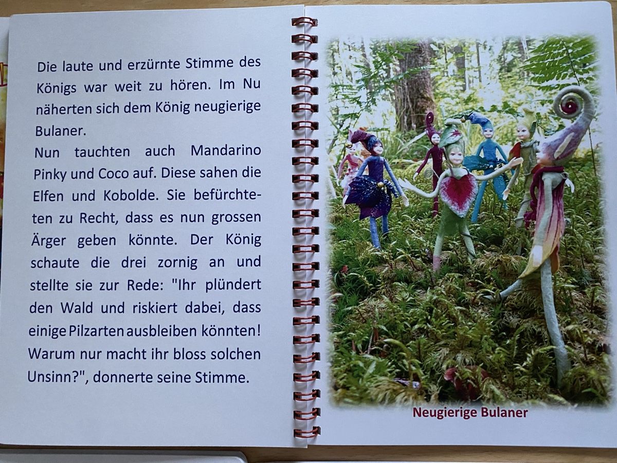 Libri: 10 Märchen über Elfen - Damaiania – Usato da Schwarzenburg venduto da Michellu 4