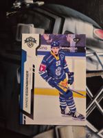 Nando Eggenberger EV Zug Sportzoo 2024/25