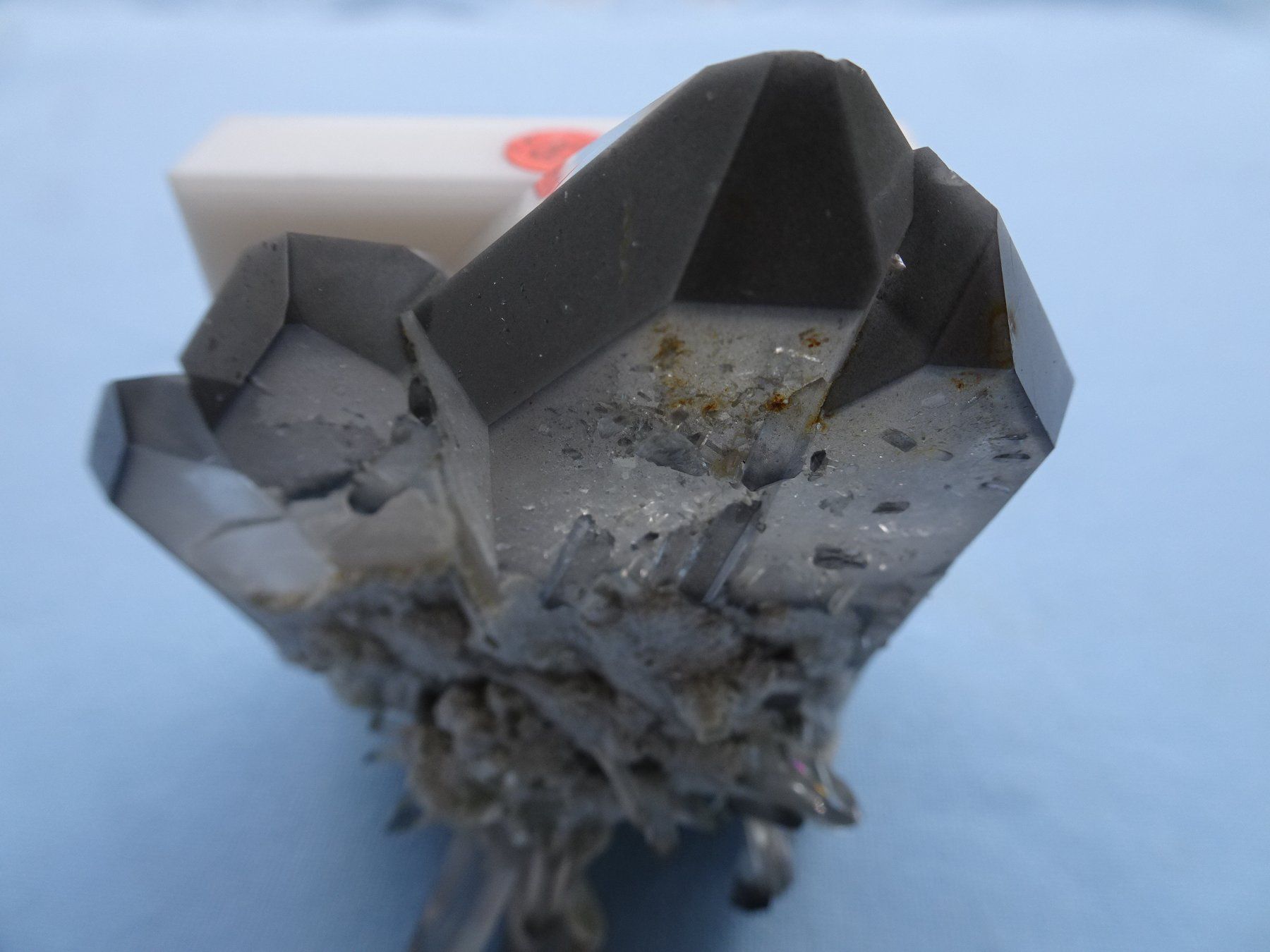 Minerali & Pietre curative: Schiefer  Phantom Quarz Alp Ramosa – Nuovo (secondo la descrizione) da martina venduto da Tignuppa 4
