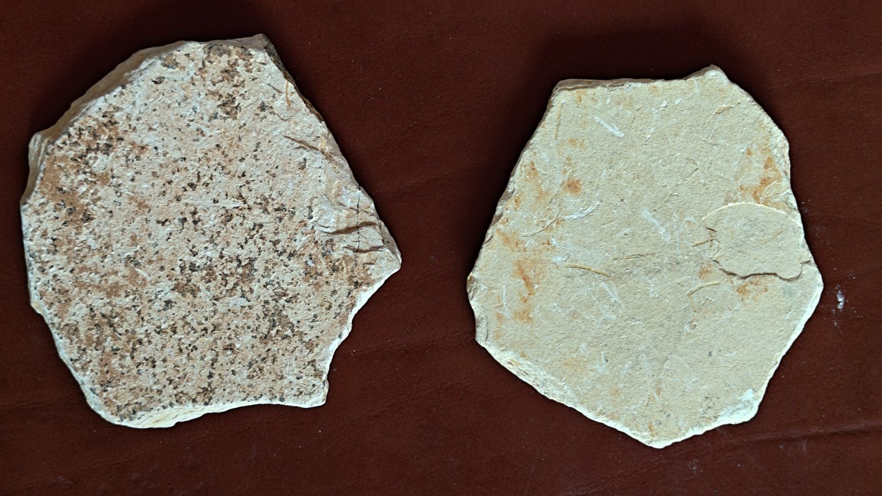 Fossilien: Pesci ossei fossili. 2 pz. – Neu (gemäss Beschreibung) aus Lugano von fbo_82wg 7