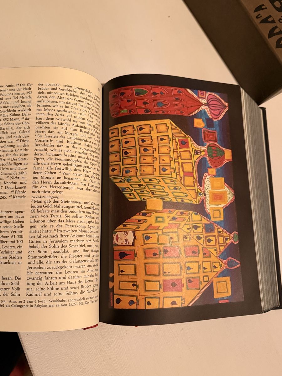 Libri: Bibel Hundertwasser 1995 – Usato da Lobsigen venduto da Ailujailuj 5