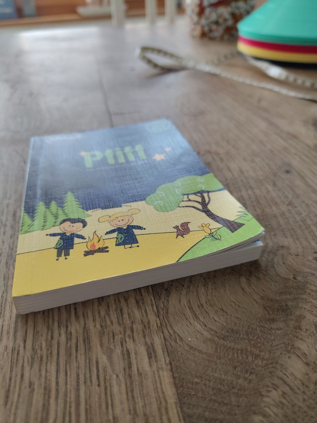 Libri: Jungschar Pfiff - Das Technikbüchlein der JEMK – Usato da Schwarzenburg venduto da Budi58 4